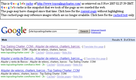 Primeros resultados en Google.com